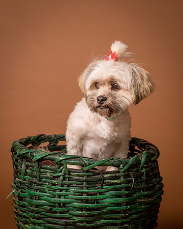 Foster Frida-9779