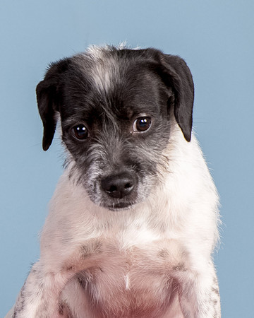 Foster Billie-8182