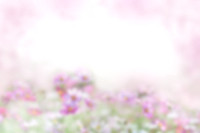 Frame_4
