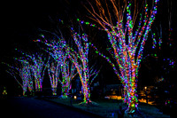 Christmas-2560