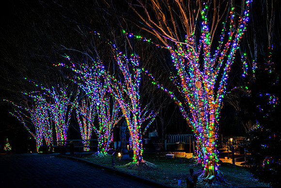 Christmas-2560