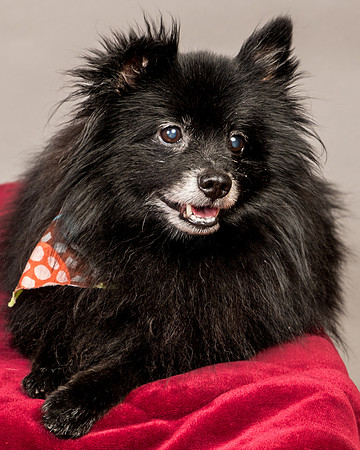 Foster Wayne-7943
