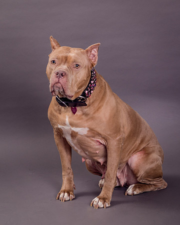 Maggie Griner-7536