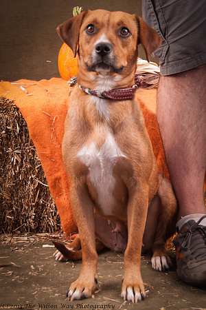 Foster Thelma-6955