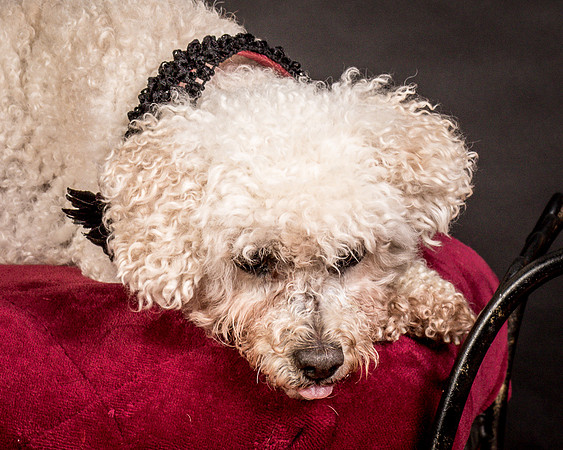 Foster Mae-9107