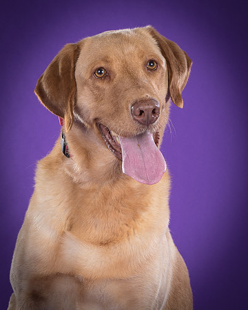 Foster Fred-5989