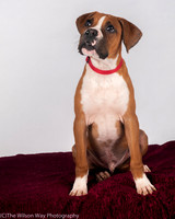Foster Lenny-3005