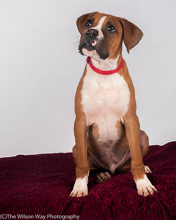 Foster Lenny-3005