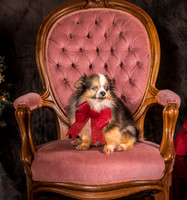 Foster Gabe-4373