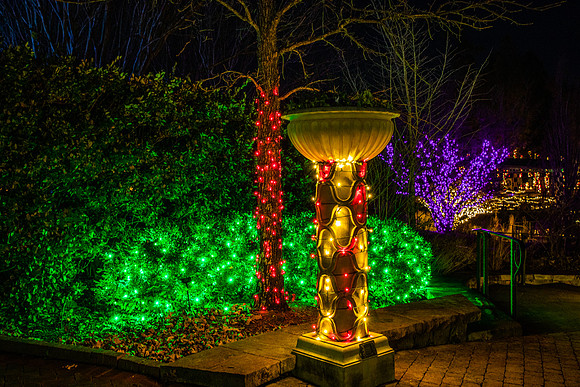 Christmas-2576