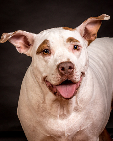 Foster Joanie-0608