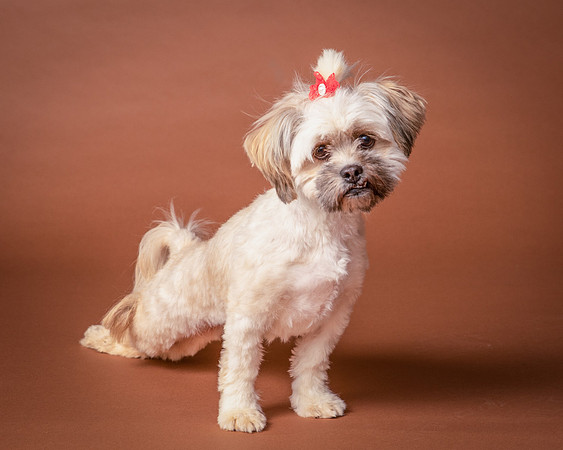Foster Frida-9757