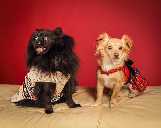Milo and Miya-5221