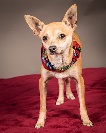 Foster Rosanna-3775
