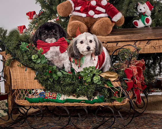Hall-8253