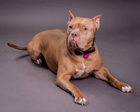 Maggie Griner-7486