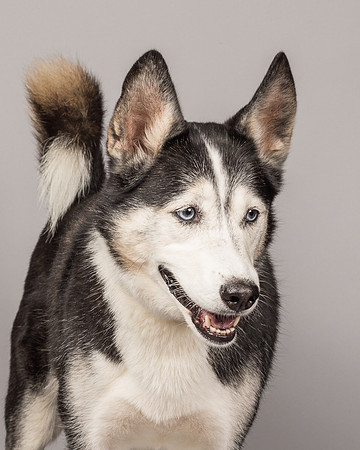 Bella-2471