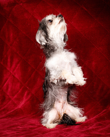 Foster Alex-6292