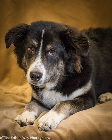 Foster Salty-0646