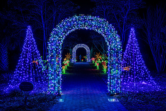 Christmas-2862