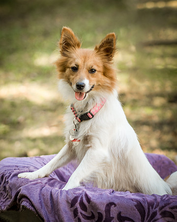 Foster Brandi-3249