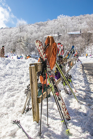 Allen Skiing-3707