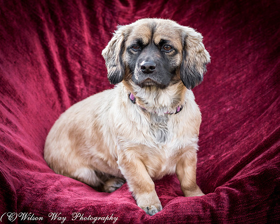 Foster Trudy-55