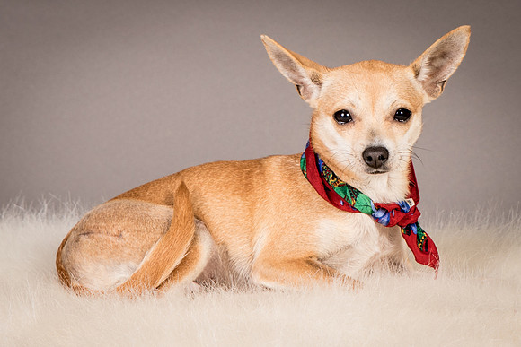 Foster Rosanna-3852