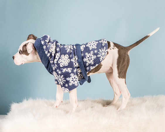 Foster Luna-4762