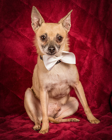 Foster Kiwi-8673