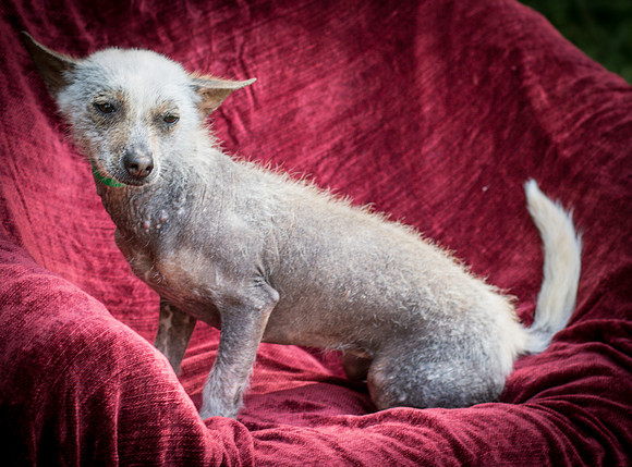 Foster Jillian-8611