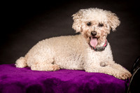 Foster Mae-8955