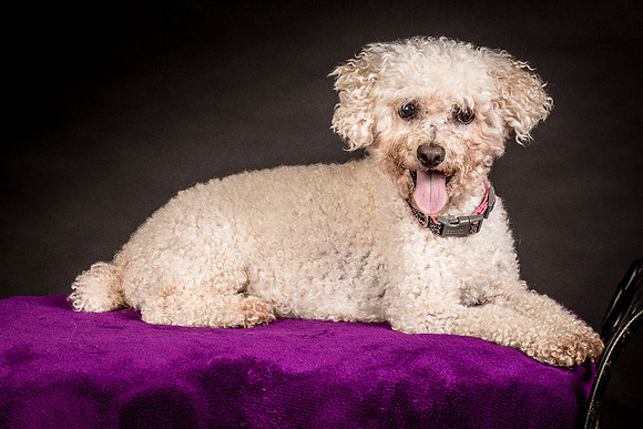Foster Mae-8955
