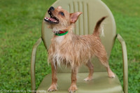 Foster Harry-3608