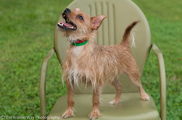 Foster Harry-3608