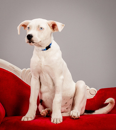 Foster Alvin-4731