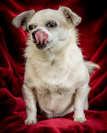 Foster Petey-0024