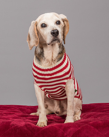 Foster Gabe-2304