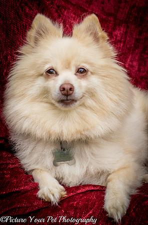 Foster Laverne-6227