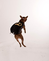 Griner-2267