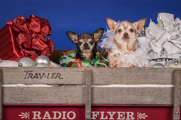 Caylor-Gretta and Priscilla-7953