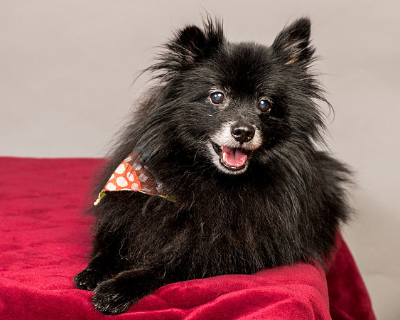 Foster Wayne-7951
