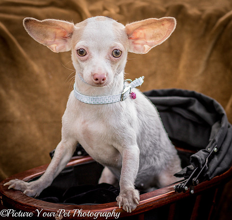 Foster Marion-3806