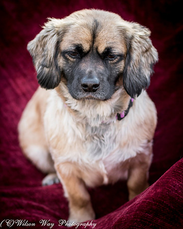 Foster Trudy-37