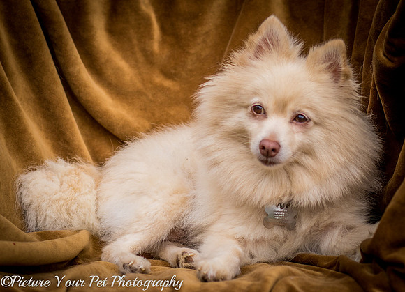 Foster Laverne-6284