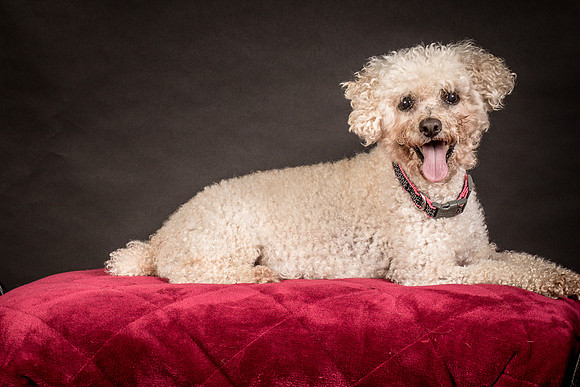 Foster Mae-9032