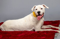 Foster Molly-3723