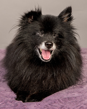 Foster Wayne-8283