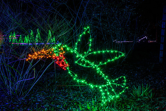 Christmas-2886