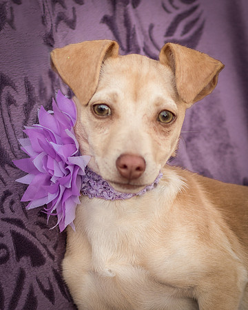 Foster Beatriz-7783